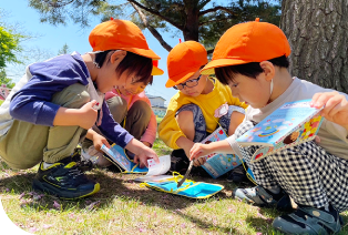 ３·４·５歳児の写真