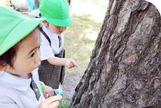 ３·４·５歳児の写真